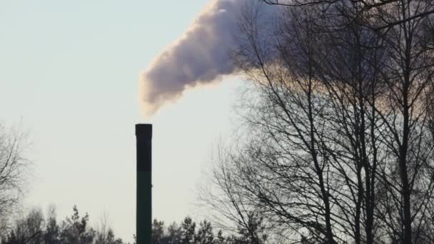 Winter City Chimney Heavy Smoke Industrial Factory Pollution Smokestack Exhaust — Video