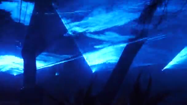 Dumanda Lazer Projeksiyon Işınları Siste Lazer Işınları — Stok video