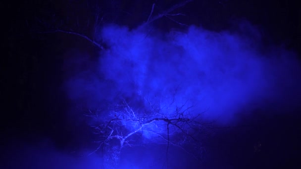 Füst Sötétben Kék Fénysugárral — Stock videók