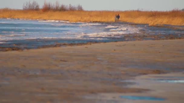 Gente Caminaba Largo Orilla Del Mar Atardecer Invierno Antecedentes Personas — Vídeo de stock