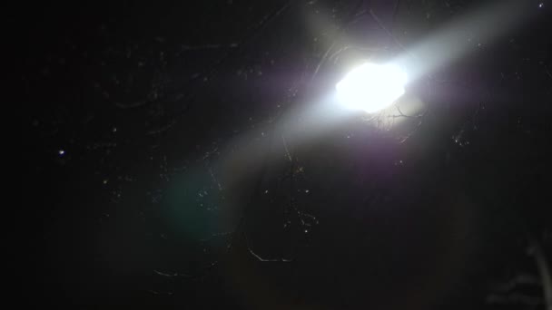 Vento Forte Sopra Neve Lanterna — Vídeo de Stock