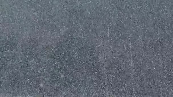 Sněhové Vločky Pěkně Padají Sníh Přírodě Krásný Blizzard Silný Poryv — Stock video