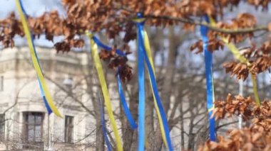 Ukrayna bayrağı savaş değil. Rusya 'nın Letonya' daki Rus Büyükelçiliği 'nde Ukrayna' ya düzenlediği saldırıyı protesto posterleri