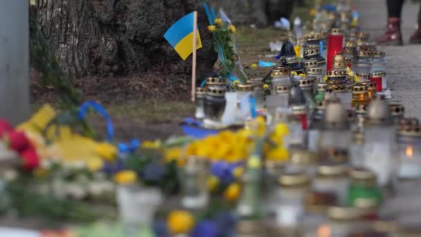 Lilin Peringatan Dengan Bunga Berwarna Biru Dan Kuning Tentara Ukraina — Stok Video