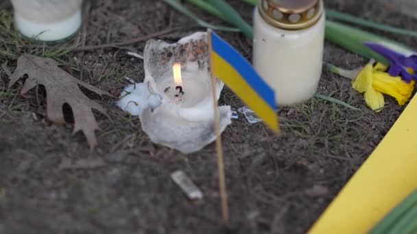 带有蓝色和黄色花朵的纪念蜡烛 乌克兰阵亡士兵 — 图库视频影像