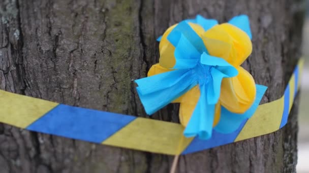 Candele Commemorative Con Fiori Blu Giallo Ucraini Caduti Soldati — Video Stock