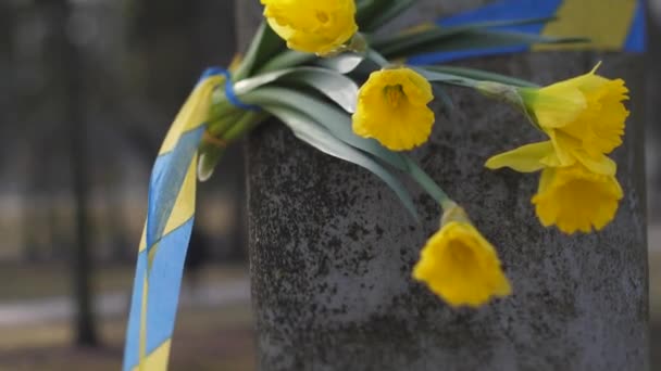Świece Pamiątkowe Kwiatami Kolorze Niebieskim Żółtym Ukraińscy Polegli Żołnierze — Wideo stockowe