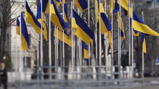乌克兰国旗不打仗 俄罗斯驻拉脱维亚大使馆抗议俄罗斯袭击乌克兰的海报 — 图库视频影像