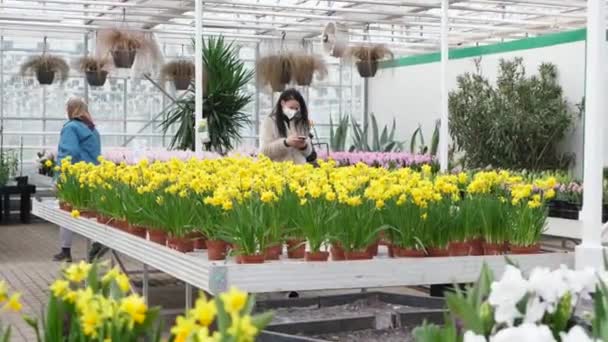 Guardería Gente Compra Hermosas Flores Flores Primavera Cultivan Para Venta — Vídeos de Stock