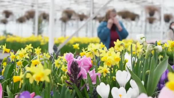 Berçário Pessoas Compram Lindas Flores Flores Primavera São Cultivadas Para — Vídeo de Stock