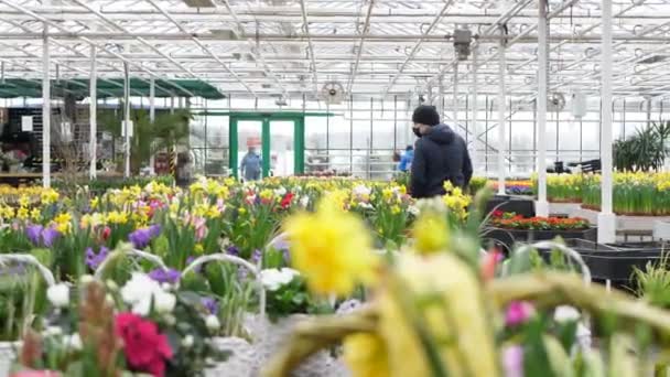 Der Gärtnerei Kaufen Die Leute Schöne Blumen Frühlingsblumen Werden Zum — Stockvideo