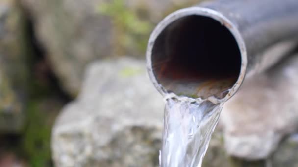 Kaynağın Temiz Suyu Paslanmaz Çelik Borulardan Akıyor — Stok video