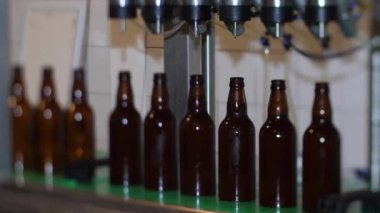 Bir kır evinde bira fabrikası. Kahverengi bira şişeleri taze birayla doludur.