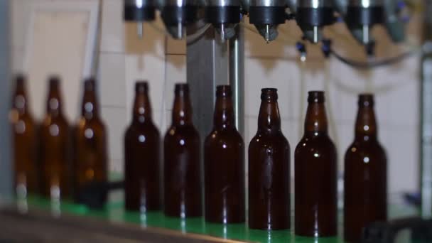 カントリーハウスの醸造所 ブラウンビールボトルには新鮮なビールが詰まっています — ストック動画
