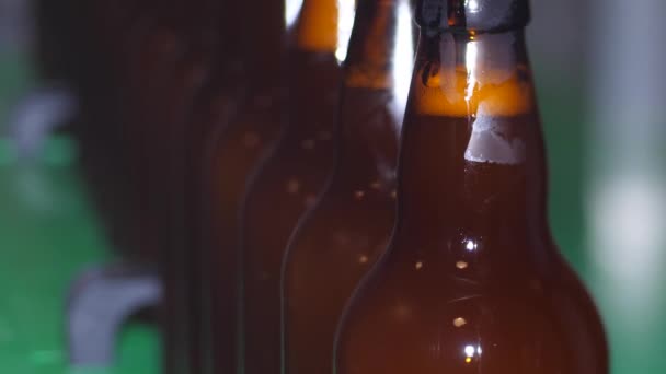 Brewery Country House Brown Beer Bottles Filled Fresh Beer — Stock Video