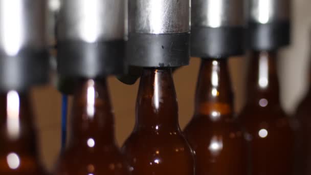 Brewery Country House Brown Beer Bottles Filled Fresh Beer — Stock Video