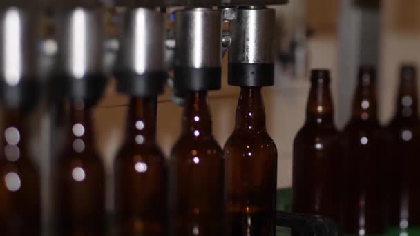 Brouwerij Een Landhuis Bruine Bierflessen Zijn Gevuld Met Vers Bier — Stockvideo