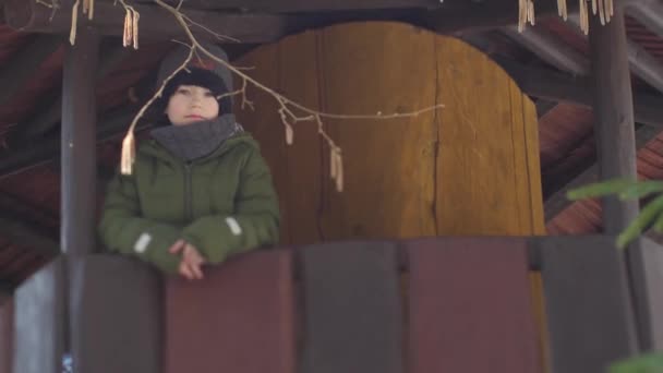 Niño Estaba Jugando Casa Árbol Casa Del Árbol Ramas Altas — Vídeo de stock