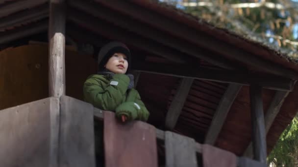 Enfant Jouait Dans Maison Sur Arbre Cabane Dans Les Arbres — Video