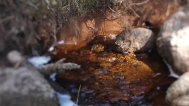 Agua Manantial Fluye Rápidamente Luz Del Sol Jugaba Agua Enfoque — Vídeo de stock