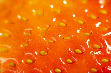 Çilek tohumları kapanıyor. Büyük, olgun çilekler. Yumuşak seçici odak