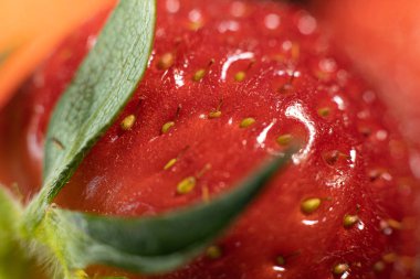 Çilek tohumları kapanıyor. Büyük, olgun çilekler. Yumuşak seçici odak