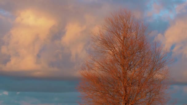 Κόκκινα Σύννεφα Στο Ηλιοβασίλεμα Κινούνται Αργά Επιλεκτική Μαλακή Εστίαση — Αρχείο Βίντεο