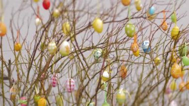 Paskalya boyunca dallara asılı yumurtalar.