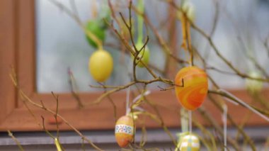 Paskalya boyunca dallara asılı yumurtalar.