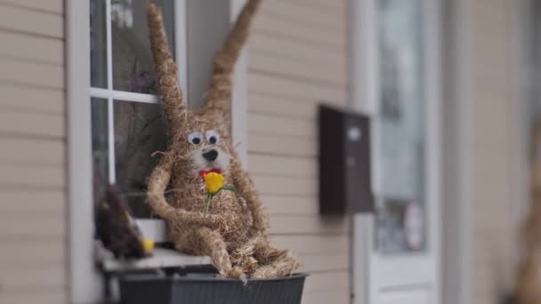 Easter Bunnies Put Window Straw Bunnies Waiting Easter Selective Focus — Stock Video