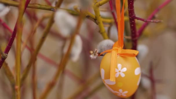 Jaja Zawieszone Gałęziach Podczas Wielkanocy — Wideo stockowe