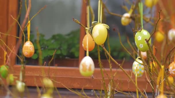 Huevos Colgados Ramas Durante Pascua — Vídeos de Stock