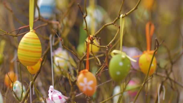 Eieren Opgehangen Aan Takken Tijdens Pasen — Stockvideo