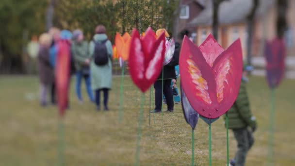 Tulipány zdobí park v centru města. Město je zdobeno umělými tulipány