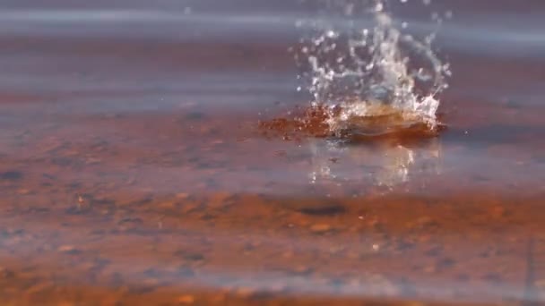 Stone Thrown Water Stonhe Falls Pond Visible Circles Water — Vídeo de Stock