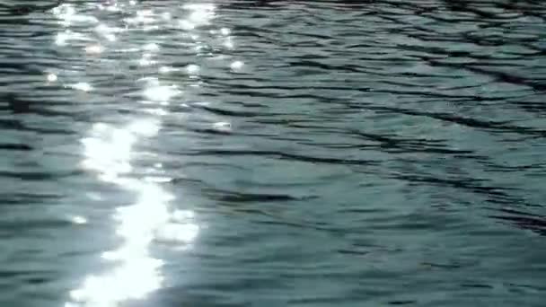 Sunlight Reflects Clear Dark Dramatic River Water — Video Stock