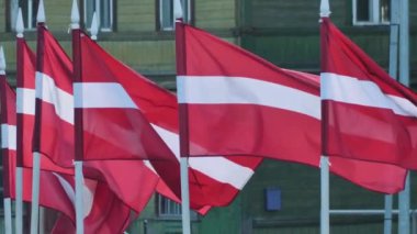 Latvian flag flutters in the wind. Flags in support of Ukrainians