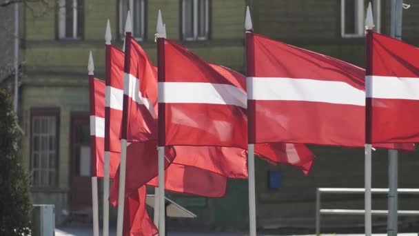 Latvian Flag Flutters Wind Flags Support Ukrainians — Stok video
