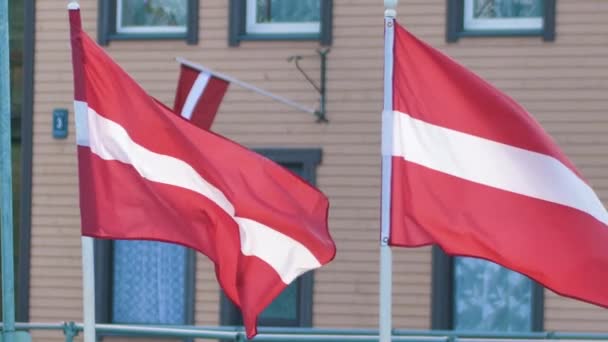 Latvian Flag Flutters Wind Flags Support Ukrainians — ストック動画