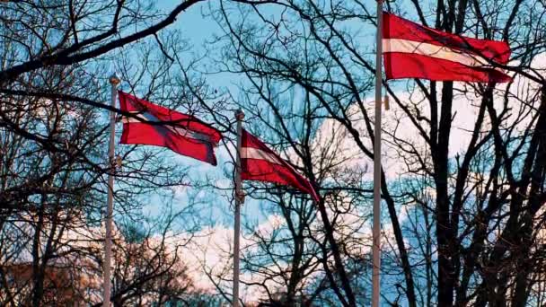 ラトビアの国旗が風になびく ウクライナ人を支援する旗 — ストック動画