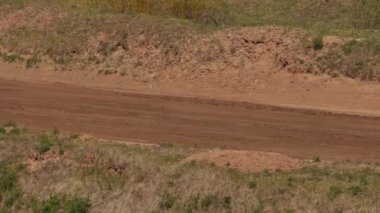 Çakıl taşı pistinde araba yarışı, yarışmaya katılarak birincilik için mücadele. Taşlar arabanın lastiklerinden uçuyor. Arabalar katılıyor