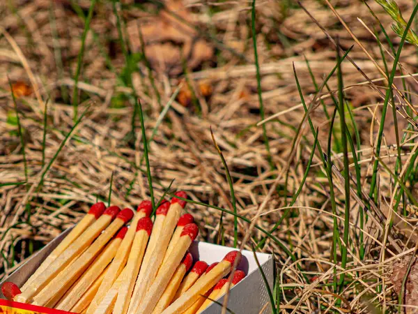 Cerillas Peligrosas Hierba Seca Cerillas Altamente Inflamables —  Fotos de Stock