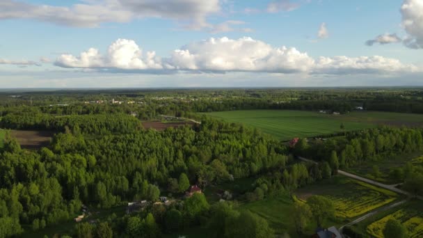 Drone Disparado Topo Campo Cultivo Agricultores Plantaram Colheitas Campos Colza — Vídeo de Stock