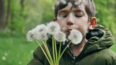 Mutlu Çocuk karahindiba üflüyor. Çocuk dışarıda olduğu için mutlu.