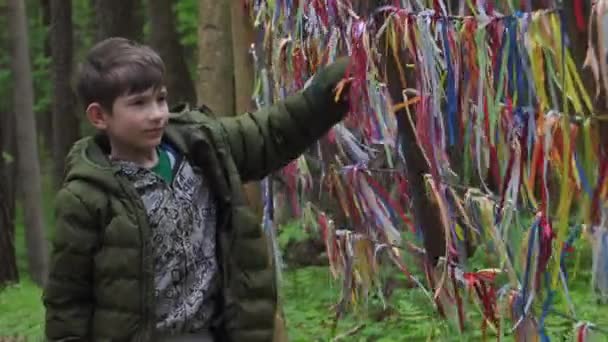 Çocuk Ormanda Bayraklarla Oynuyordu Bir Çocuk Çok Renkli Kurdelelerle Ormana — Stok video