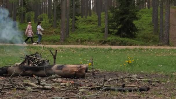 Las Mujeres Bosque Pasan Junto Fuego — Vídeos de Stock