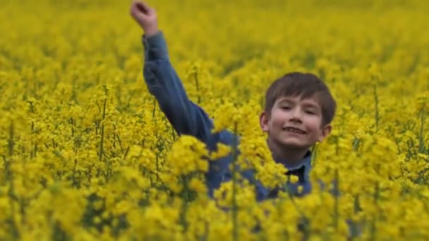 Dziecko Bawiło Się Polu Rzepakowym Żółty Gwałt Rolniczy Chłopak Pokazuje — Wideo stockowe