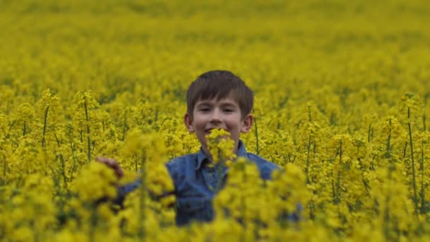 Çocuk Kolza Tohumu Tarlasında Oynuyordu Sarı Tarımsal Tecavüz Çocuk Kanola — Stok video