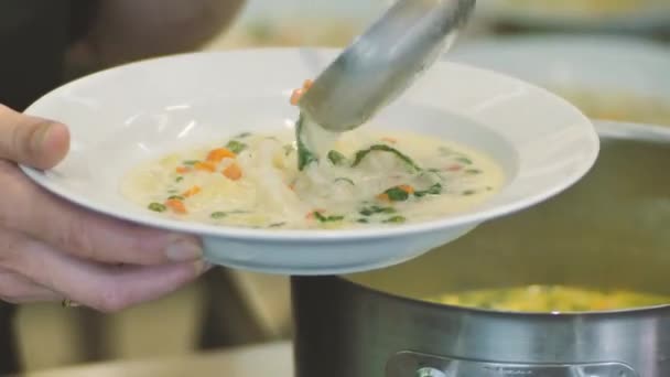 Inspeção Porção Degustação Alimentos Coma Prato Comido Com Mãos Garfo — Vídeo de Stock