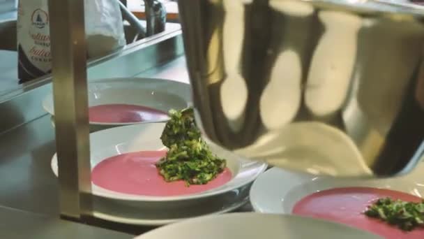 甜菜汤加香料和青菜放在盘子里 软性选择性重点 — 图库视频影像
